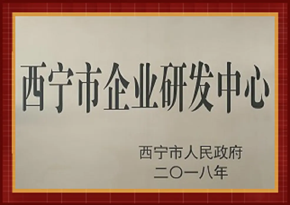 市级研发中心